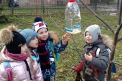 Група "Бджілка". Наші прогулянки