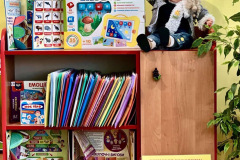 Група Барвінок