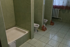 Група Чомусики