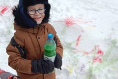 Зимові прогулянки